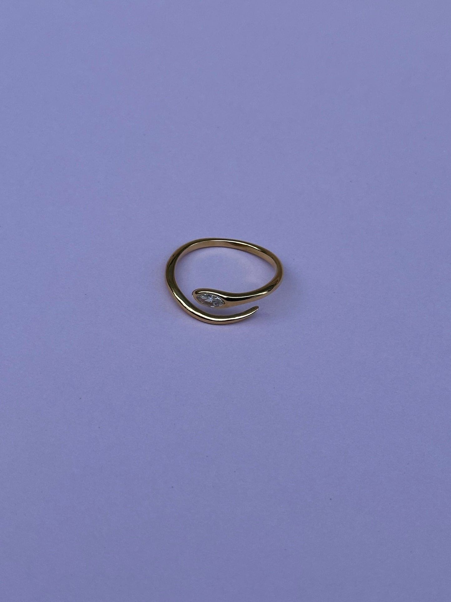 Magnética Ring