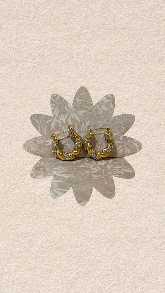 Pauli Earring